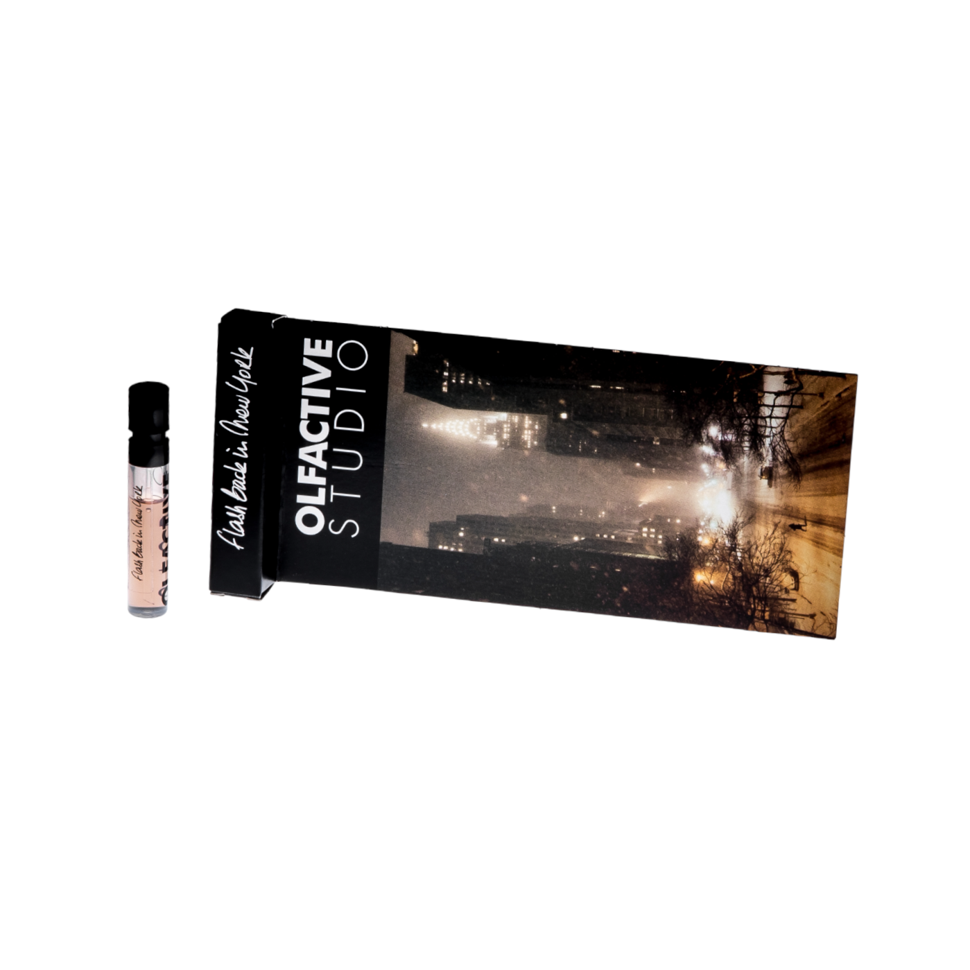 Flash Back in New York échantillon