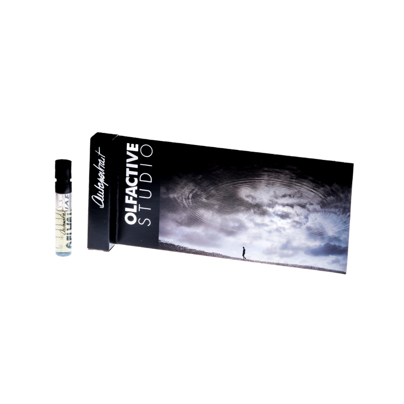 Autoportrait échantillon