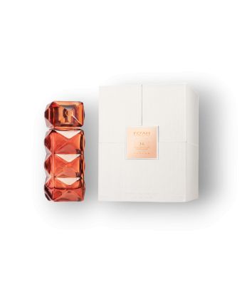 Mémoires d'une palmeraie 14 Mémoires d'une palmeraie 14