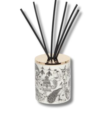 Night Blooms, India Night Blooms, India