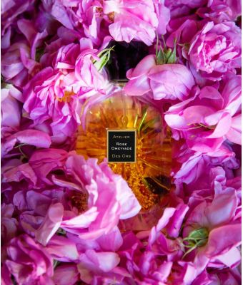 Umayyaden-Rose Umayyaden-Rose