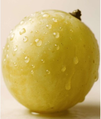 Muscaté