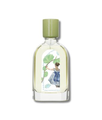 Verveine d'Été