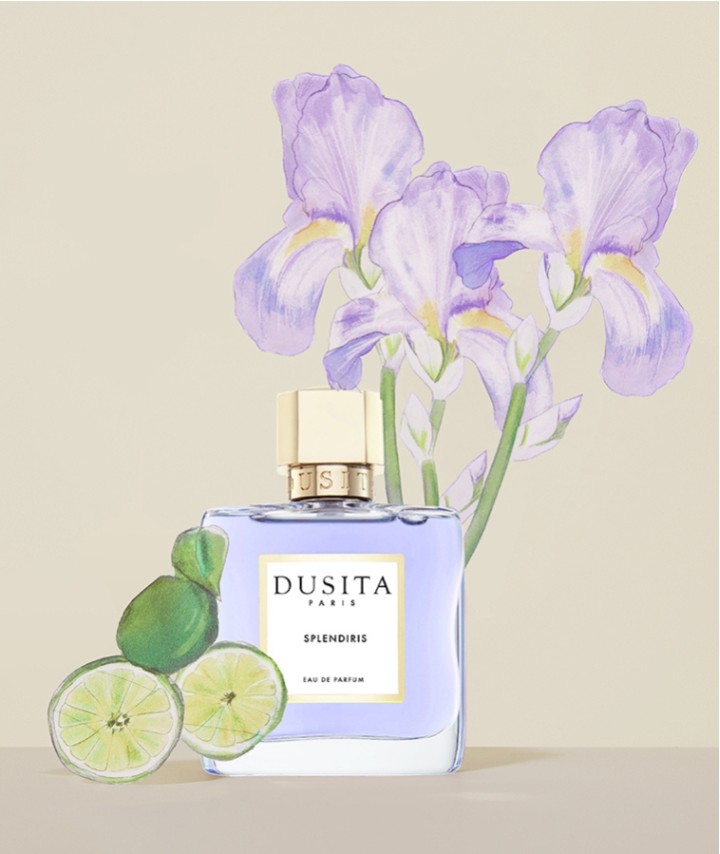 Splendiris Splendiris