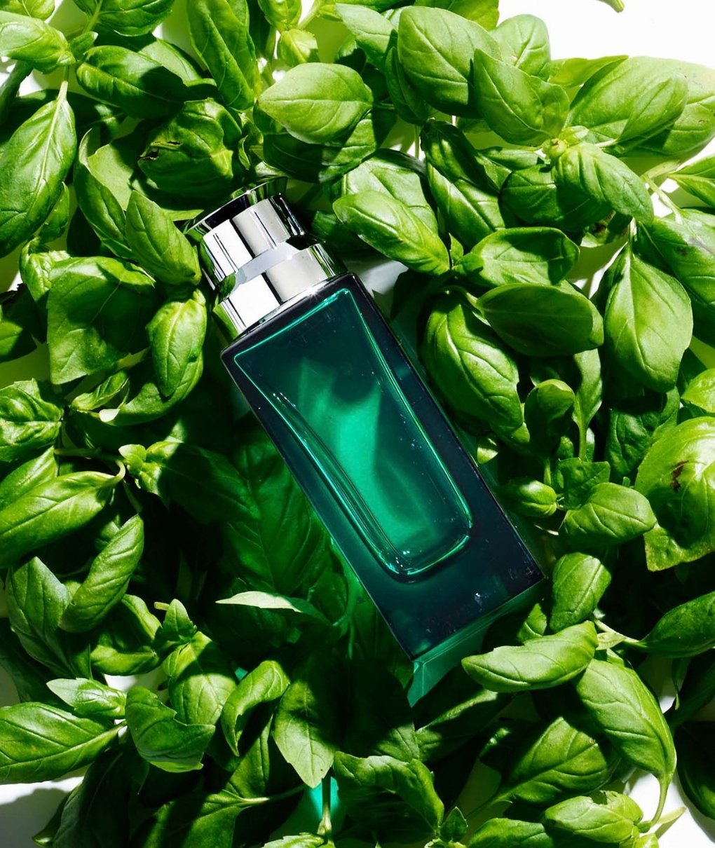 Bottle of Oltre perfume by Acqua di Portofino, lying on a bed of green leaves.