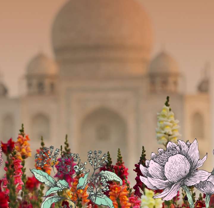 Kleurrijke bloemen op de voorgrond met de Taj Mahal op de wazige achtergrond, wat een romantisch en vredig tafereel oplevert.