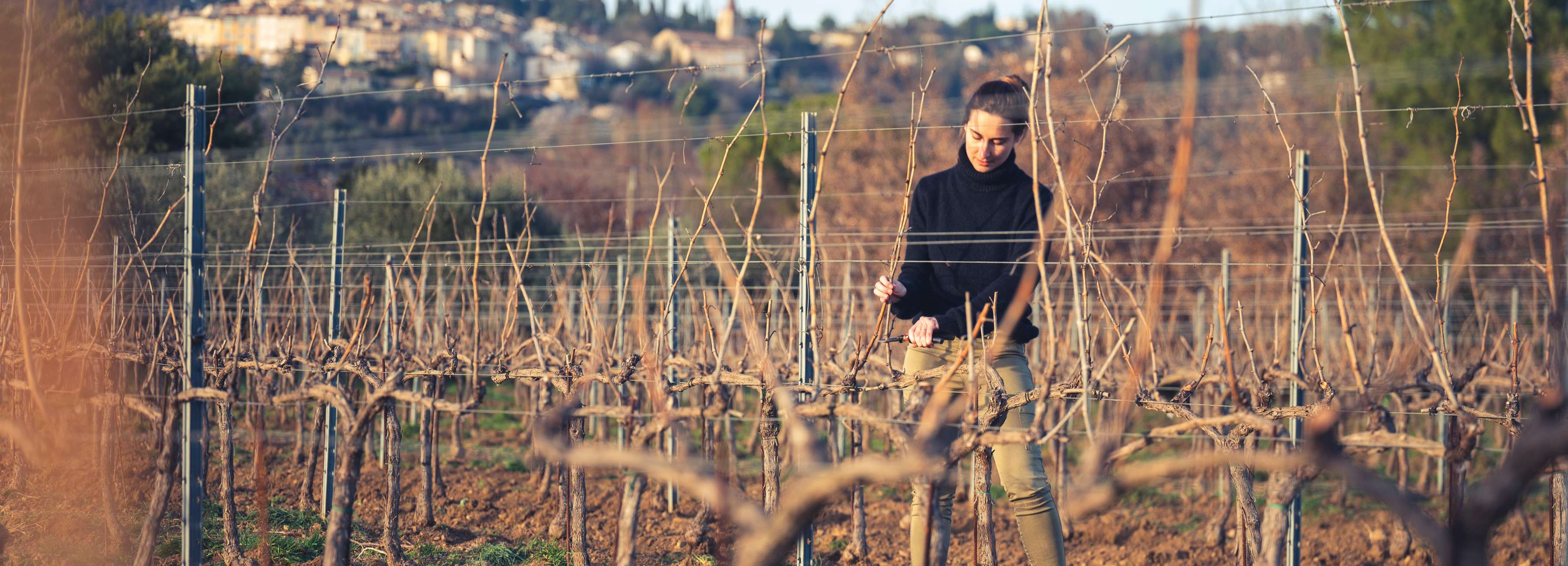 Lauriane Guignon taille la vigne en hiver dans un vignoble - univers CÉPAGES PARFUMS