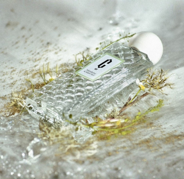 Cray perfume bottle among flowers and plants, on a stone with flowing water.