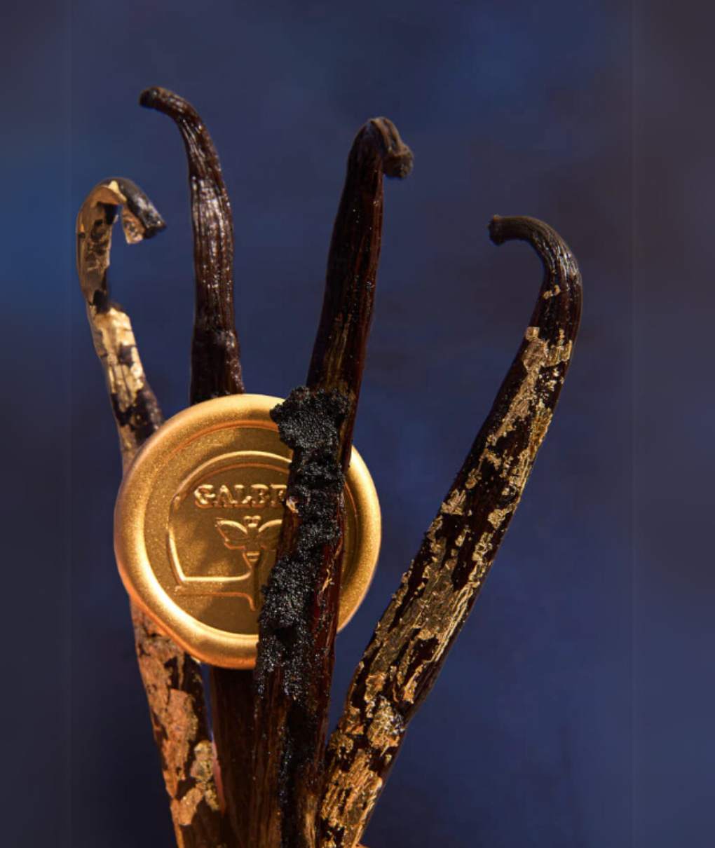 De afbeelding toont verschillende donkere, gebogen vanillestokjes in een artistieke compositie. De peulen zijn donkerbruin van kleur en hebben een ruwe textuur. In het midden van de afbeelding is een gouden waszegel met het GALBEE-logo van een bij op een van de peulen geplaatst. De achtergrond is diepblauw en vormt een sterk contrast met de gouden peulen en medaille.