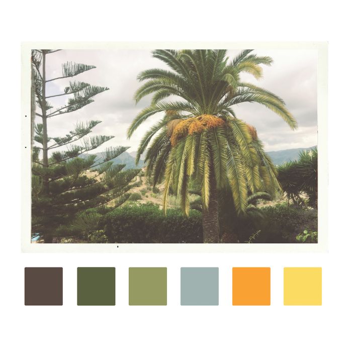 L'image montre un flacon de parfum de la marque Electimuss, mis en valeur par un éclairage coloré. Le flacon a une forme élégante, avec une base rouge et un bouchon doré brillant. À l'arrière-plan, des panneaux de verre colorés dans des tons de jaune, violet et rouge créent un effet de lumière vibrante et réfléchissante. Le design luxueux du flacon, avec un médaillon décoratif, est accentué par les reflets des couleurs, ajoutant une dimension artistique à la composition.