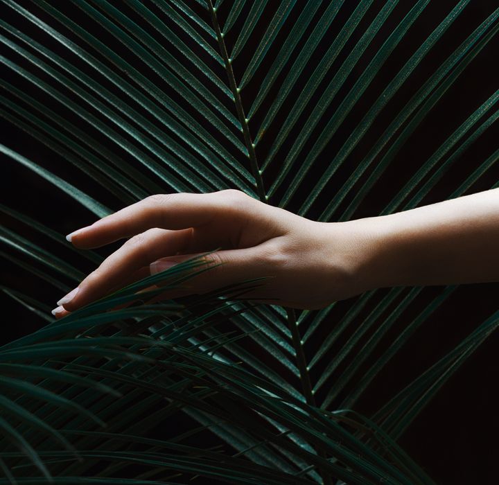 Main de femme sur fond de palmes vertes