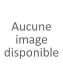 LE GALION